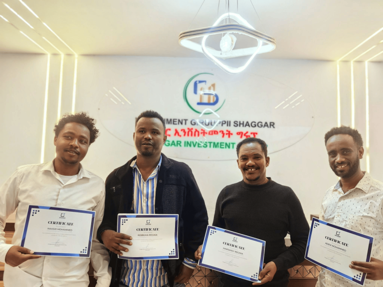 Empowering the Voice of the Future: Modernizing Shaggar City’s Communication Strategy